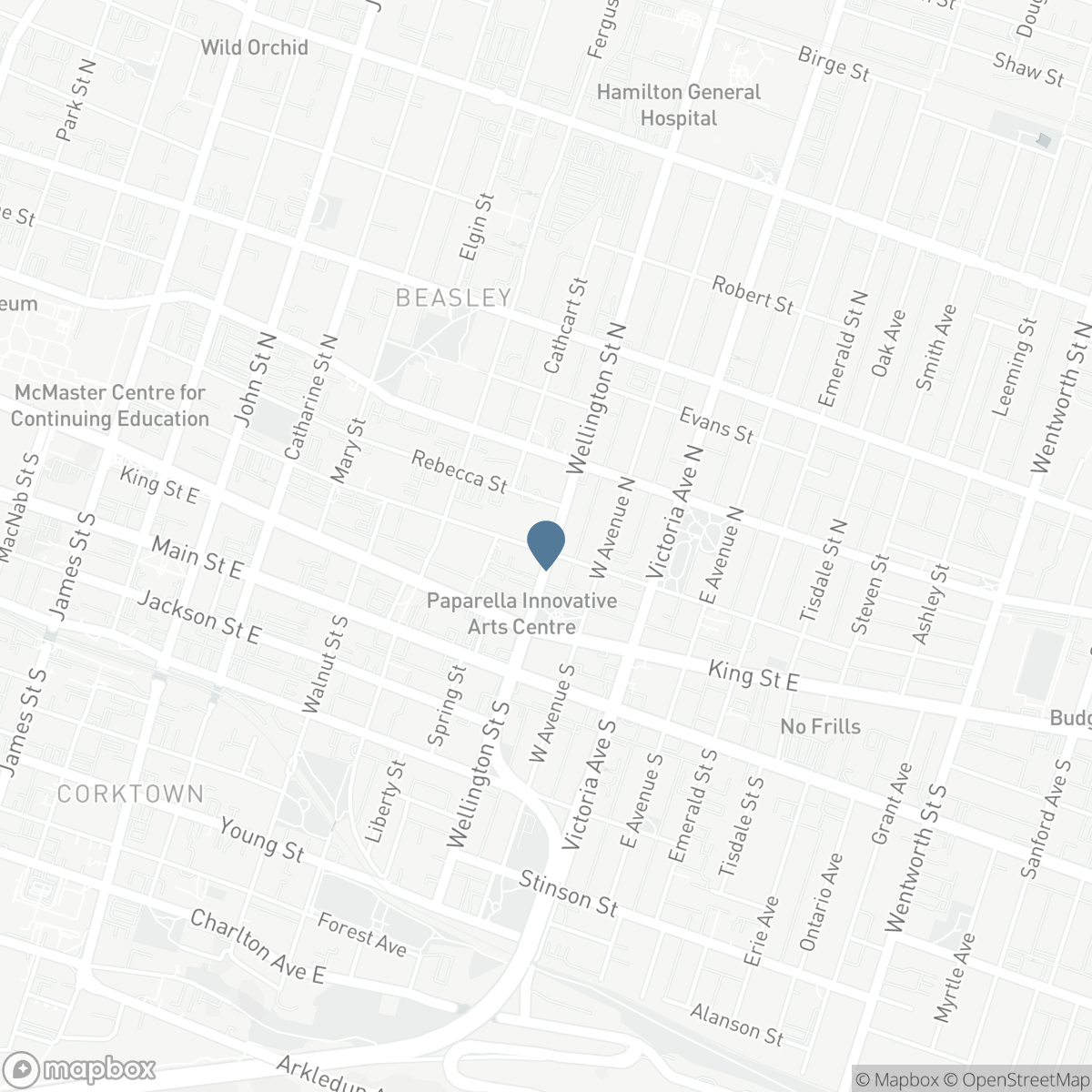 45 WELLINGTON Street N, Hamilton, Ontario L8R 1M9